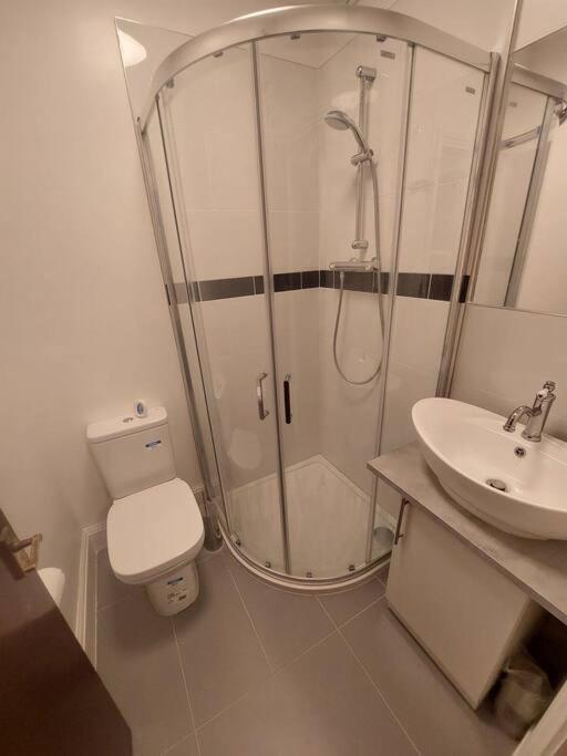 Newly Refurbished Studio London Bagian luar foto